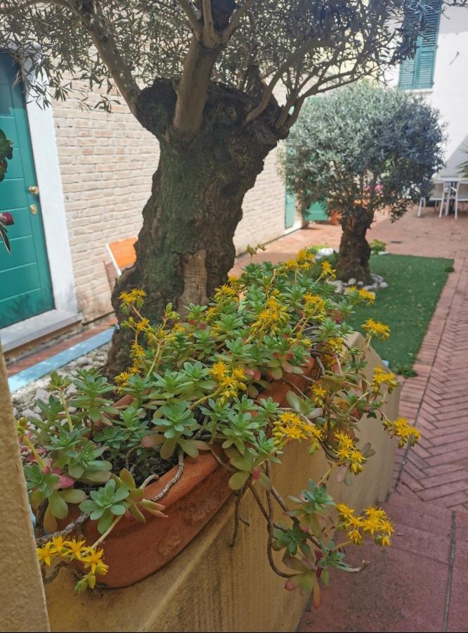 ראבנה B&B La Chicca מראה חיצוני תמונה