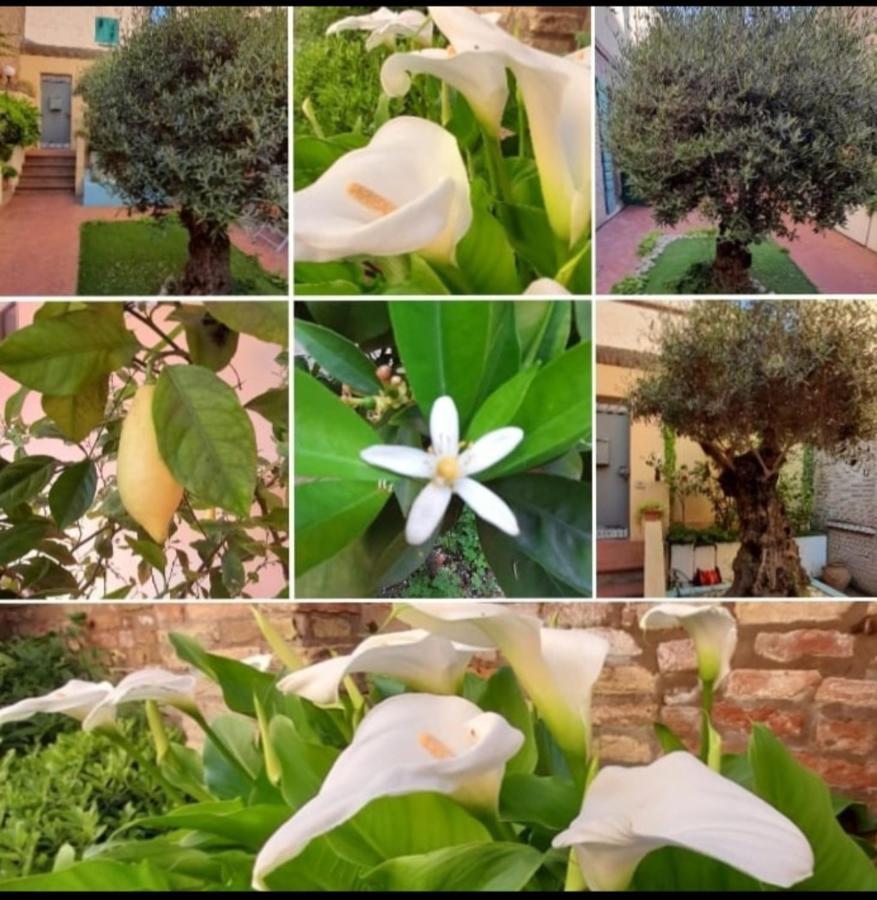 ראבנה B&B La Chicca מראה חיצוני תמונה